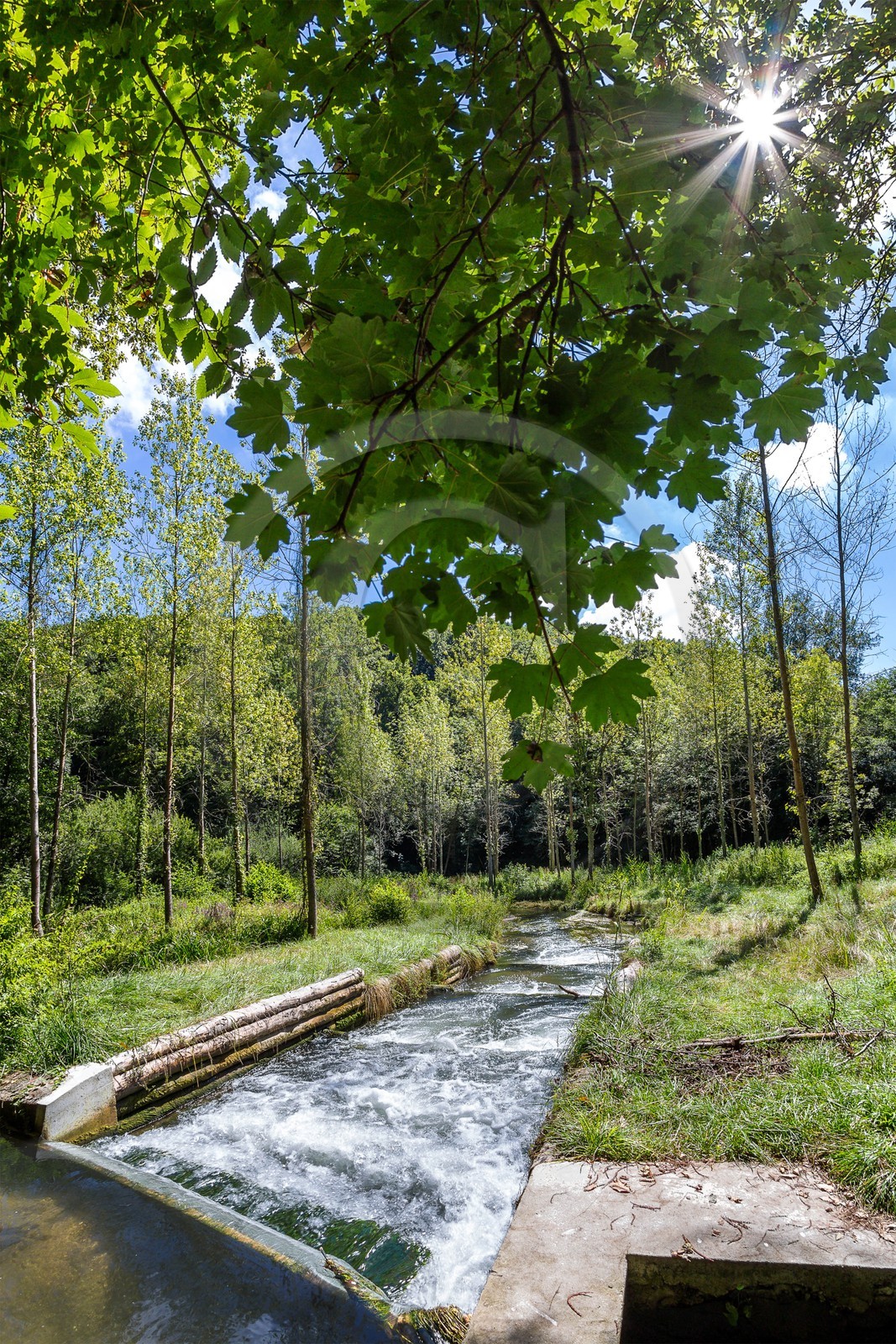 ENS de l'Isère, étang de Cote Manin