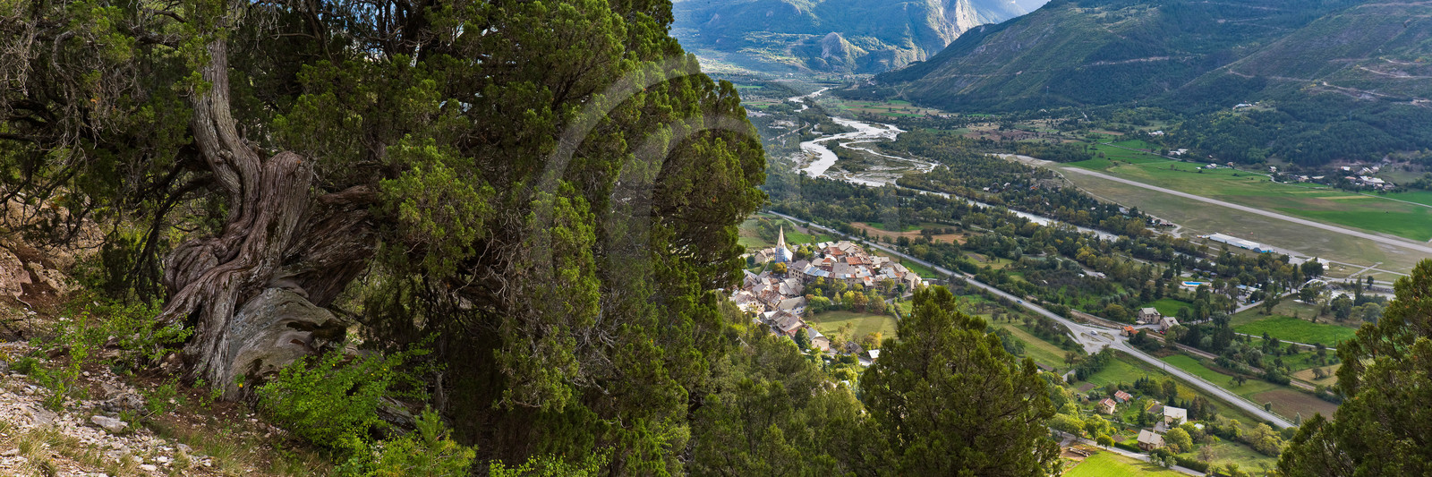 Thurifaie de Saint-Crépin Thurifaie de Saint-Crépin