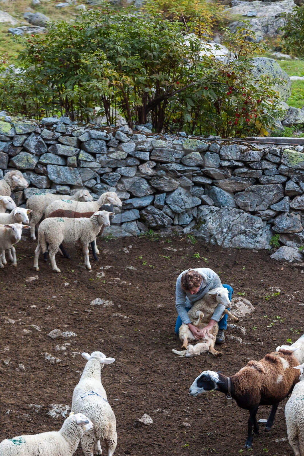 La Chapelle-en-Valgaudemar, désenmontagnage