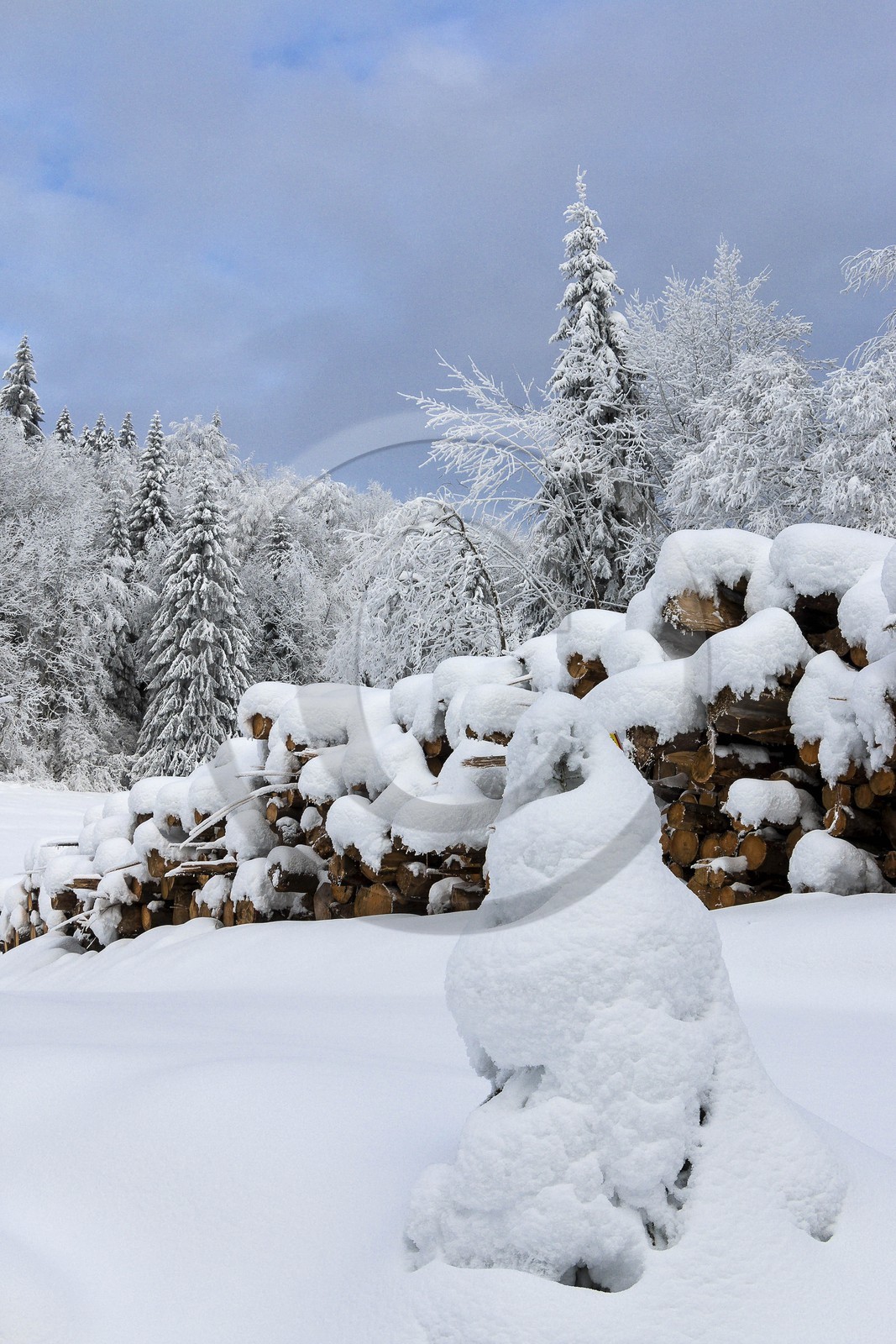 ENS de l'Isère, Les Ecouges ENS de l'Isère, Les Ecouges