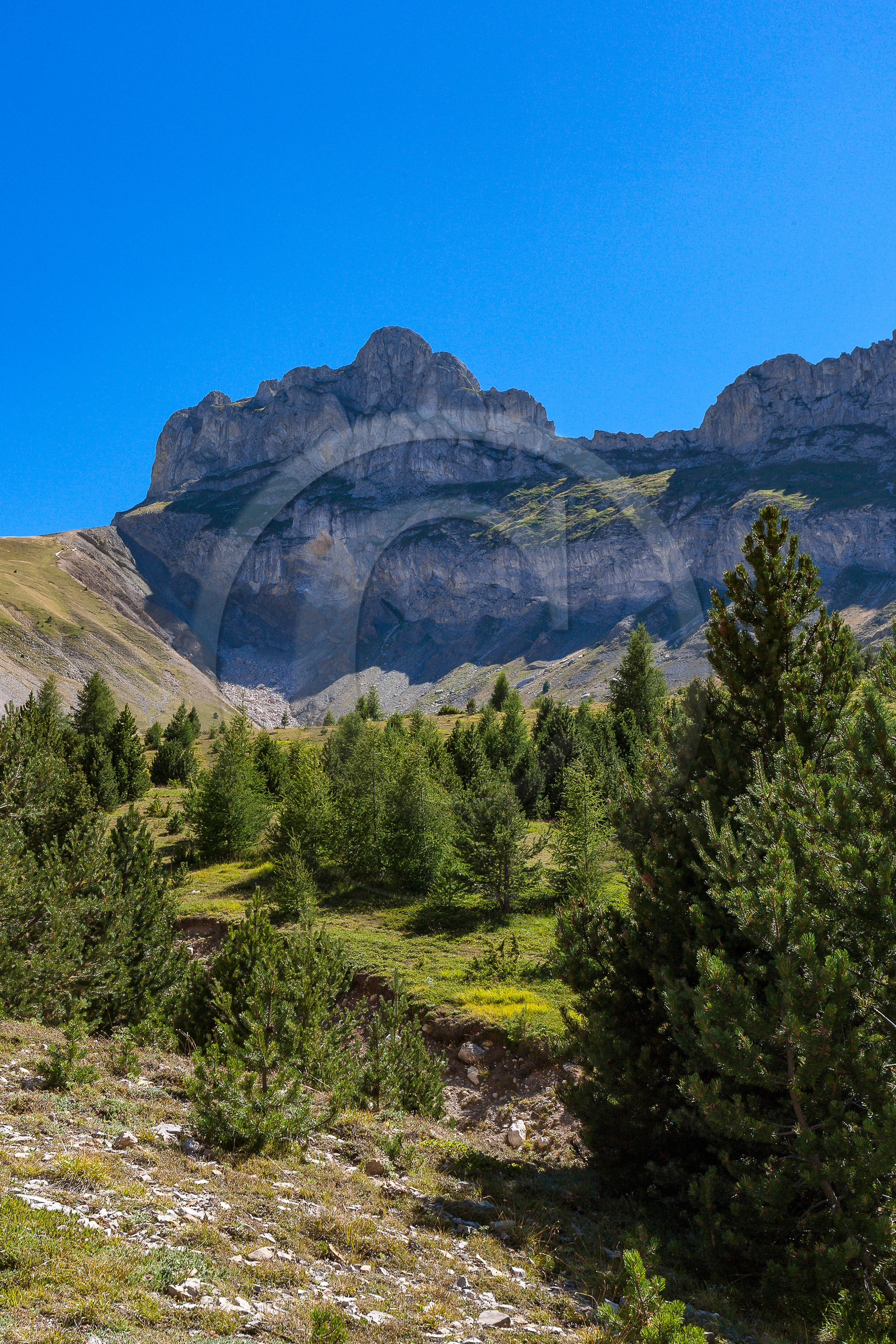 Col du Noyer