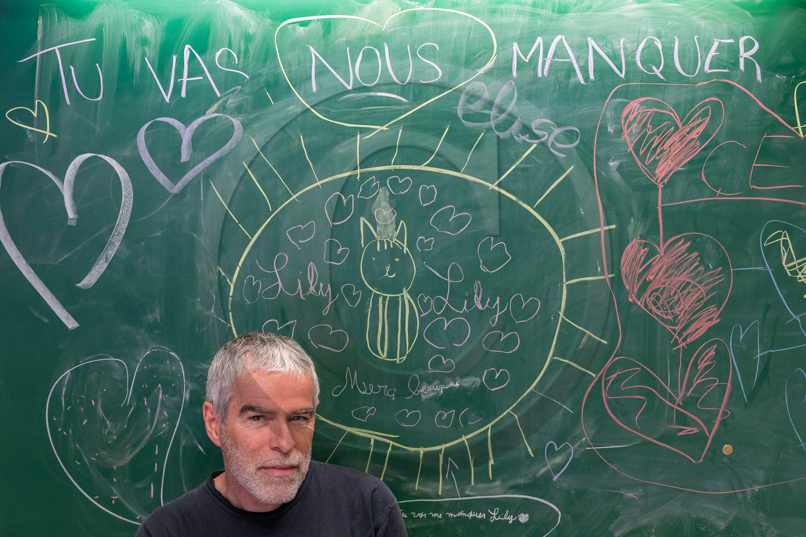 Michel Chavrot