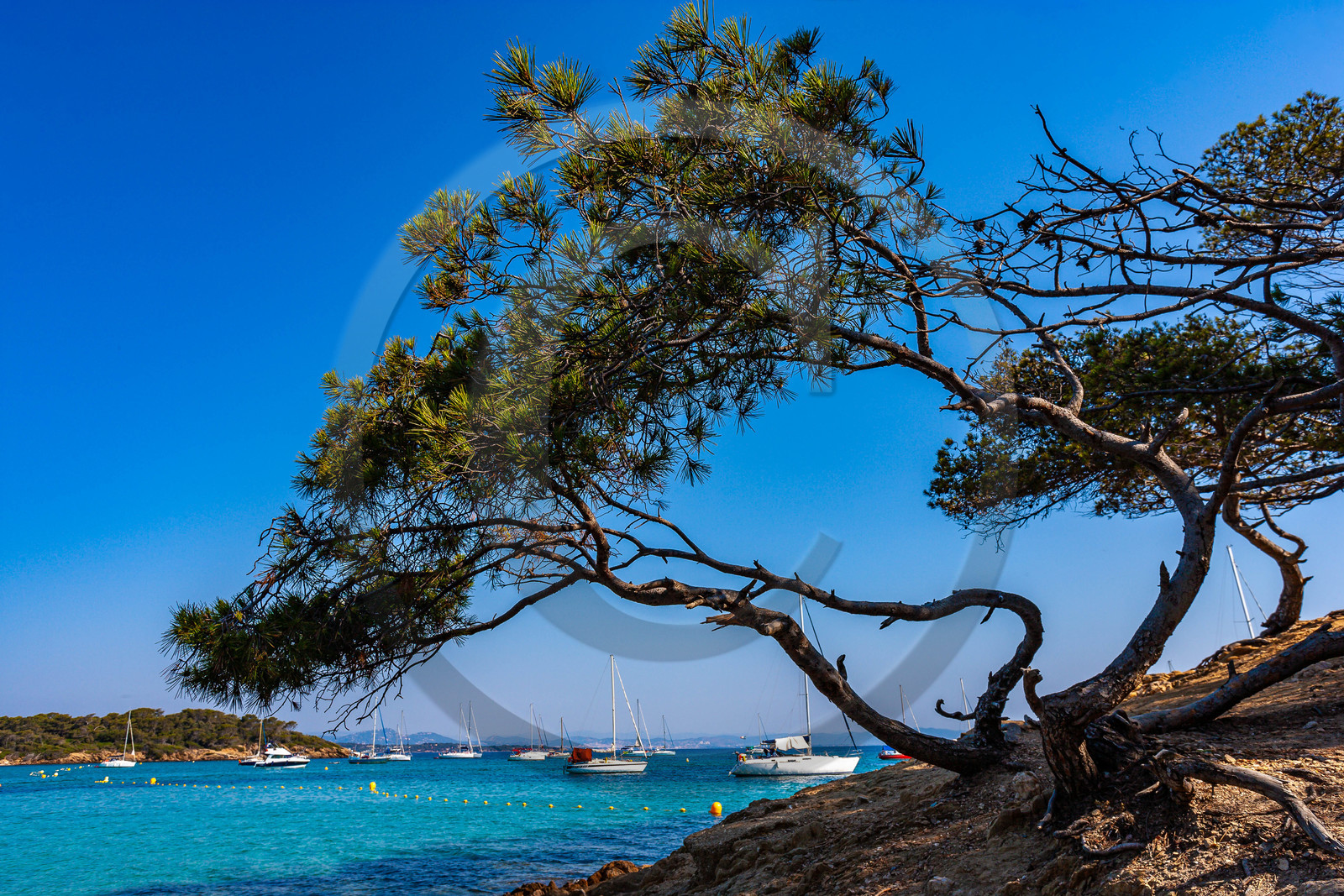 Parc national de Port-Cros Parc national de Port-Cros