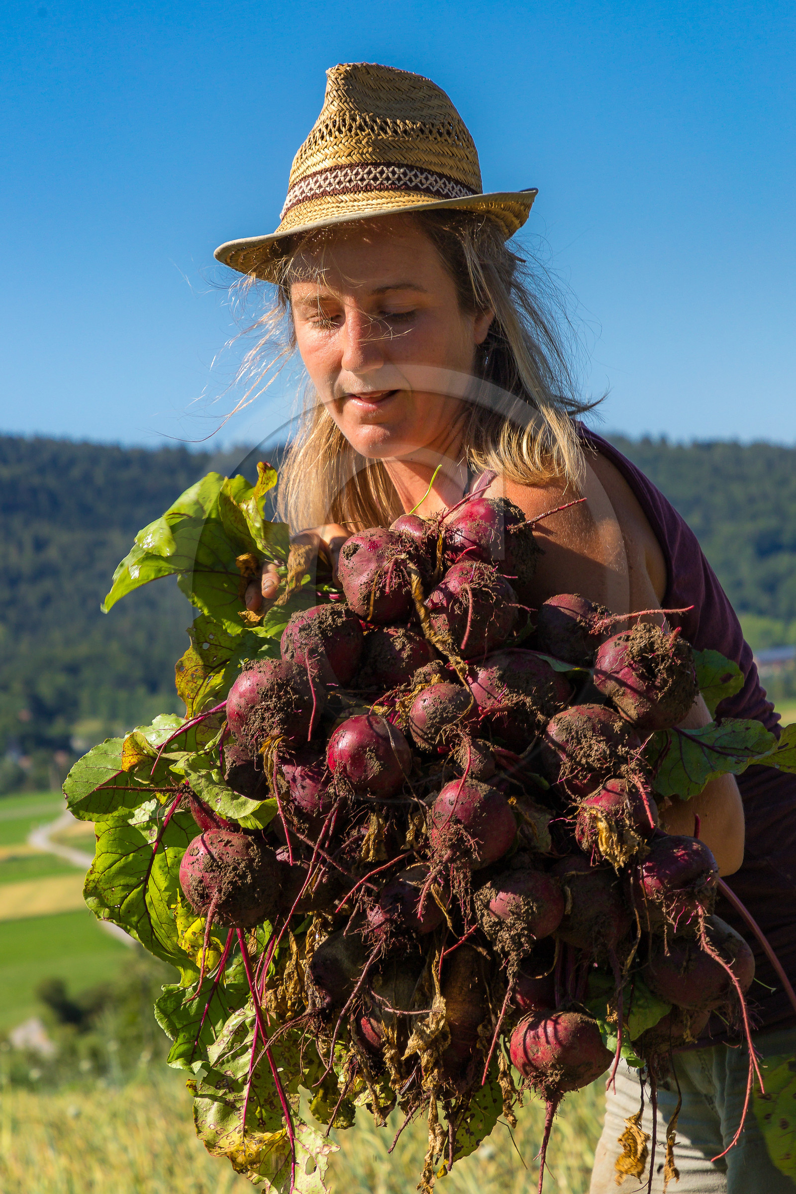 LéguMontagne,  Bertille Gieu, Maraîchère bio LéguMontagne,  Bertille Gieu, Maraîchère bio