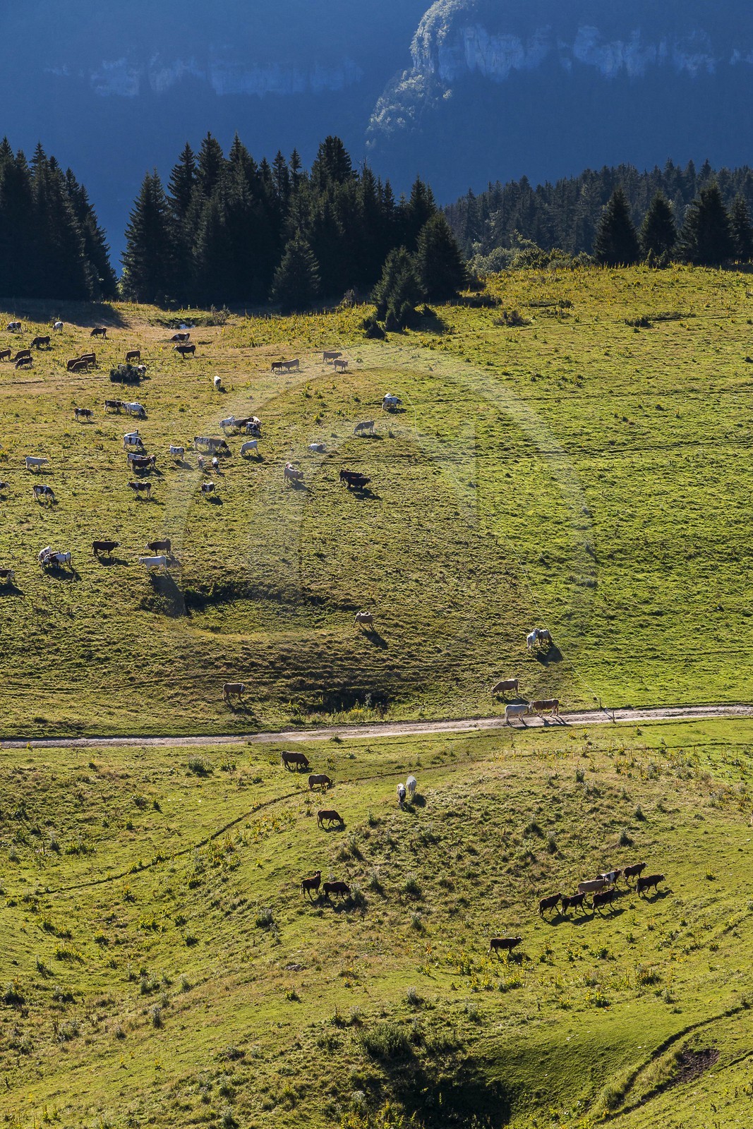 ENS de l'Isère, Plateau de la Molière et du Sornin
