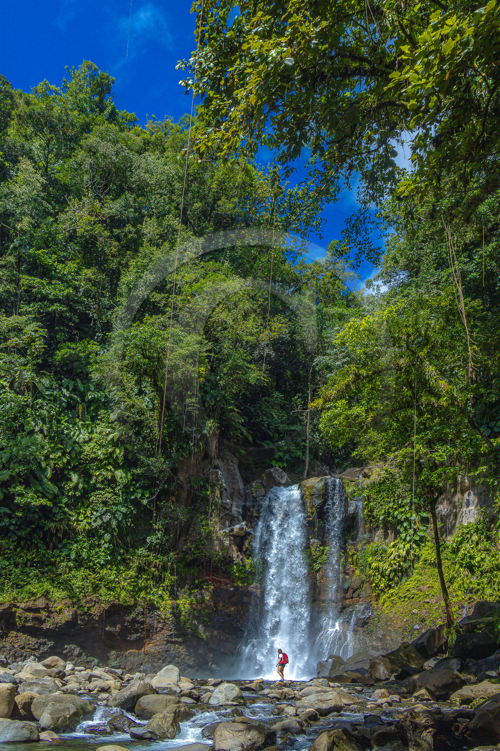 Chute du Carbet, Parc national de la Guadeloupe Chute du Carbet, Parc national de la Guadeloupe
