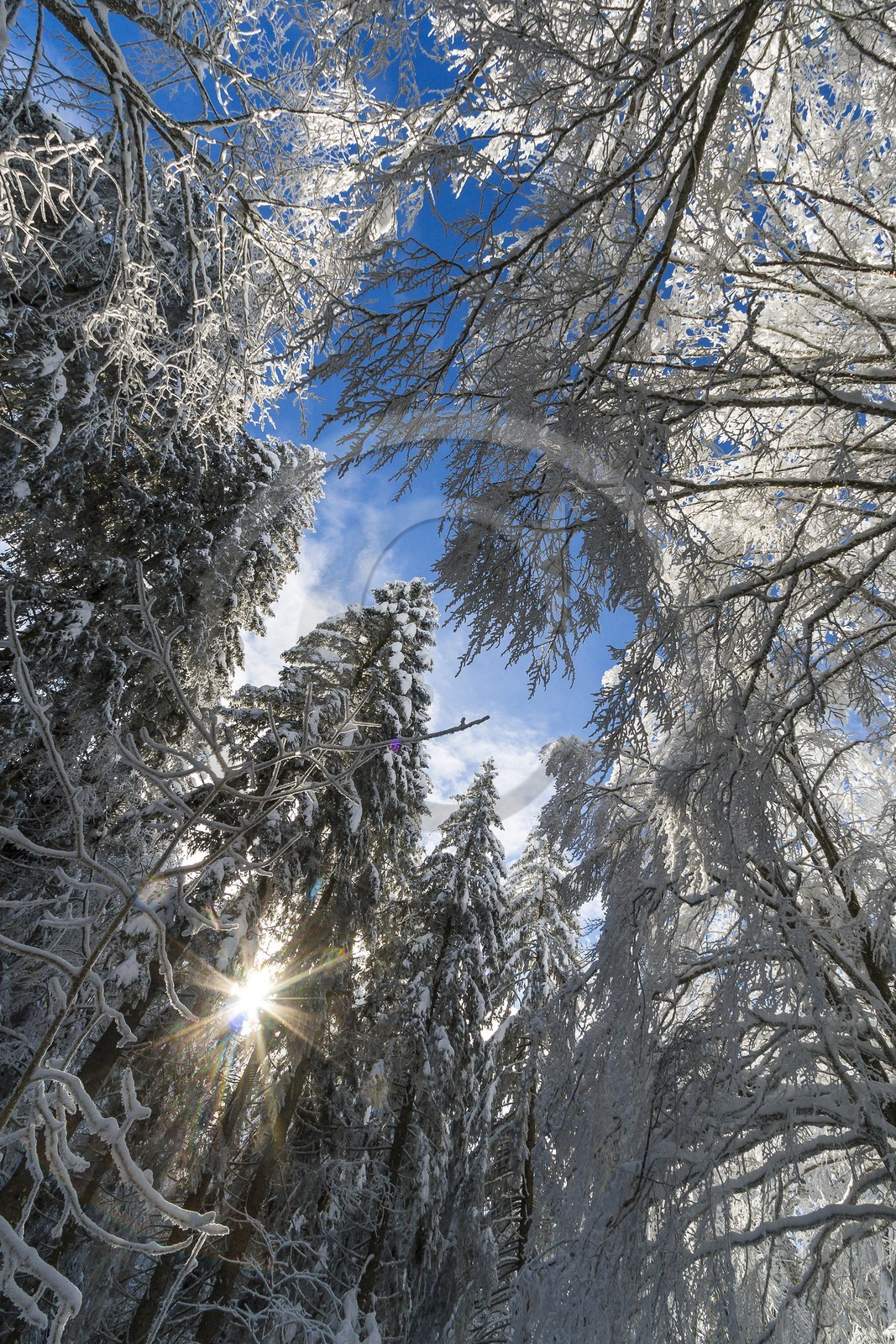 ENS de l'Isère, Les Ecouges
