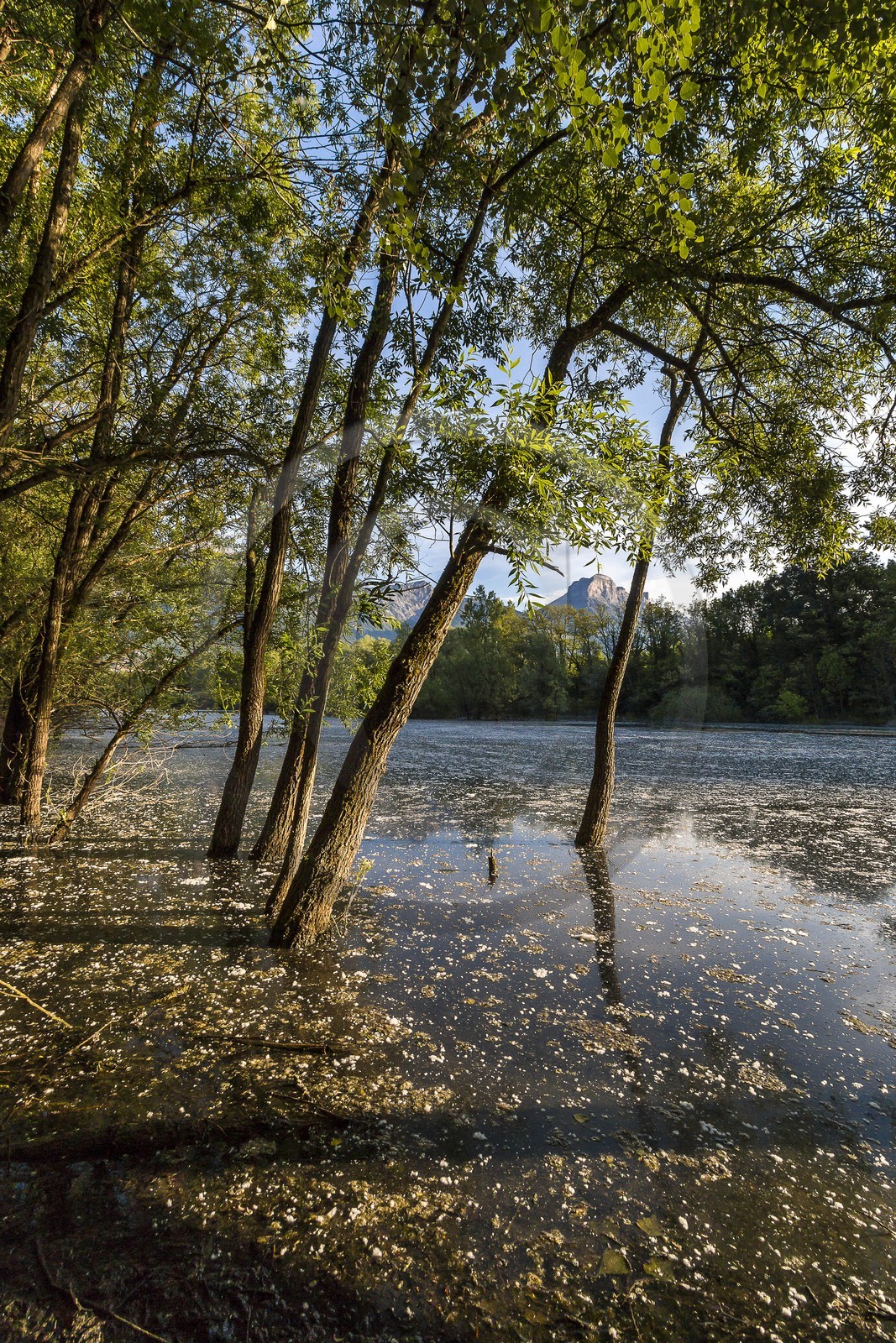 ENS de l'Isère, bois de la Bâtie