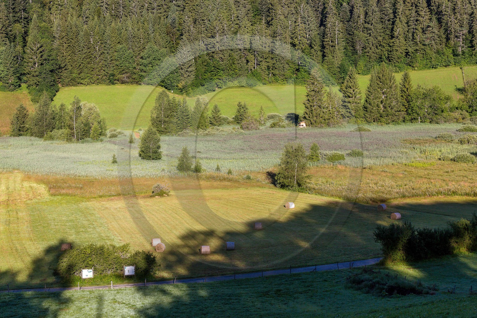 ENS de l'Isère, Marais des Sagnes ENS de l'Isère, Marais des Sagnes