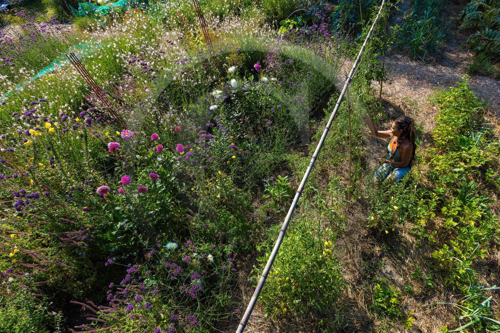 Parc écologique Terre Vivante