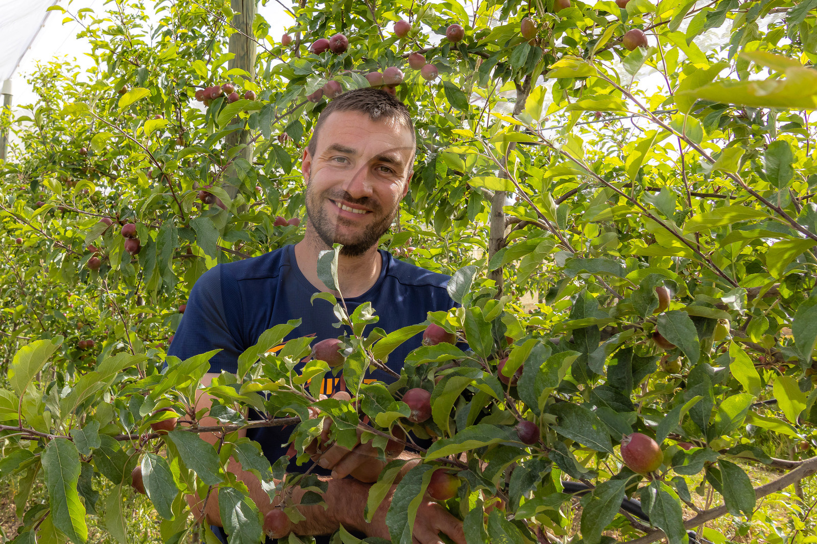 Melve, Gaec de la Maurelle, Adrien Megy Melve, Gaec de la Maurelle, Adrien Megy