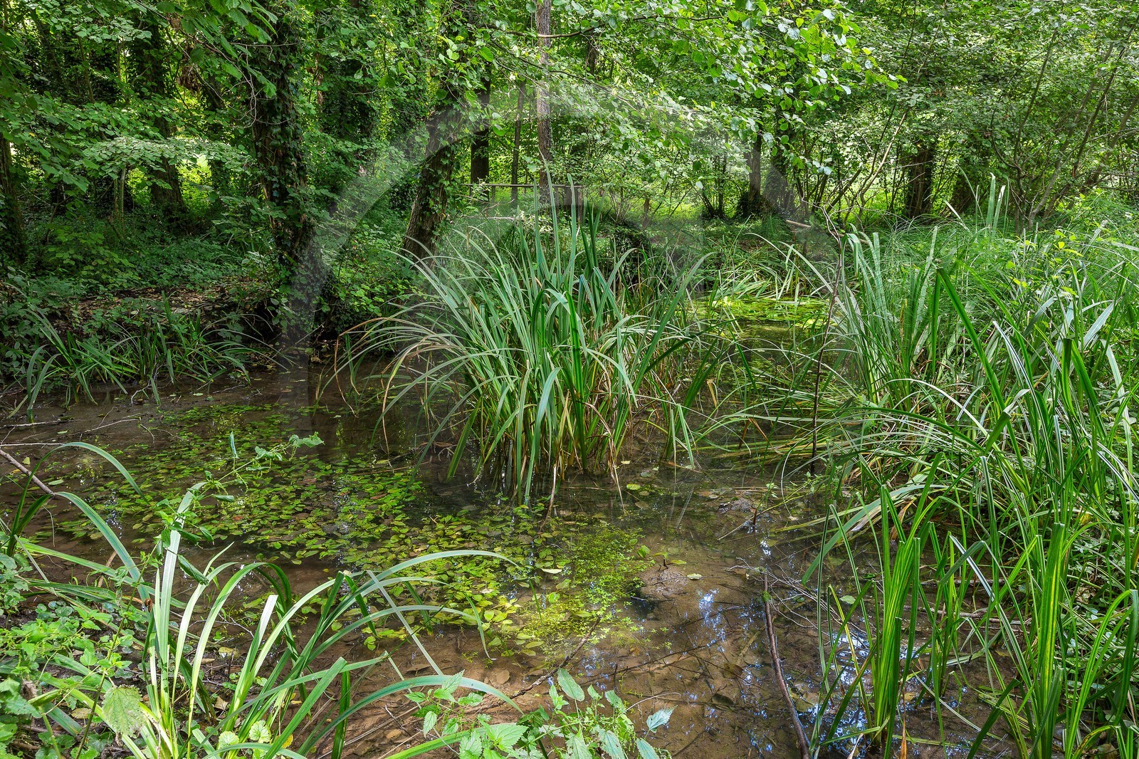 ENS de l'Isère, Boucle des Moïles ENS de l'Isère, Boucle des Moïles
