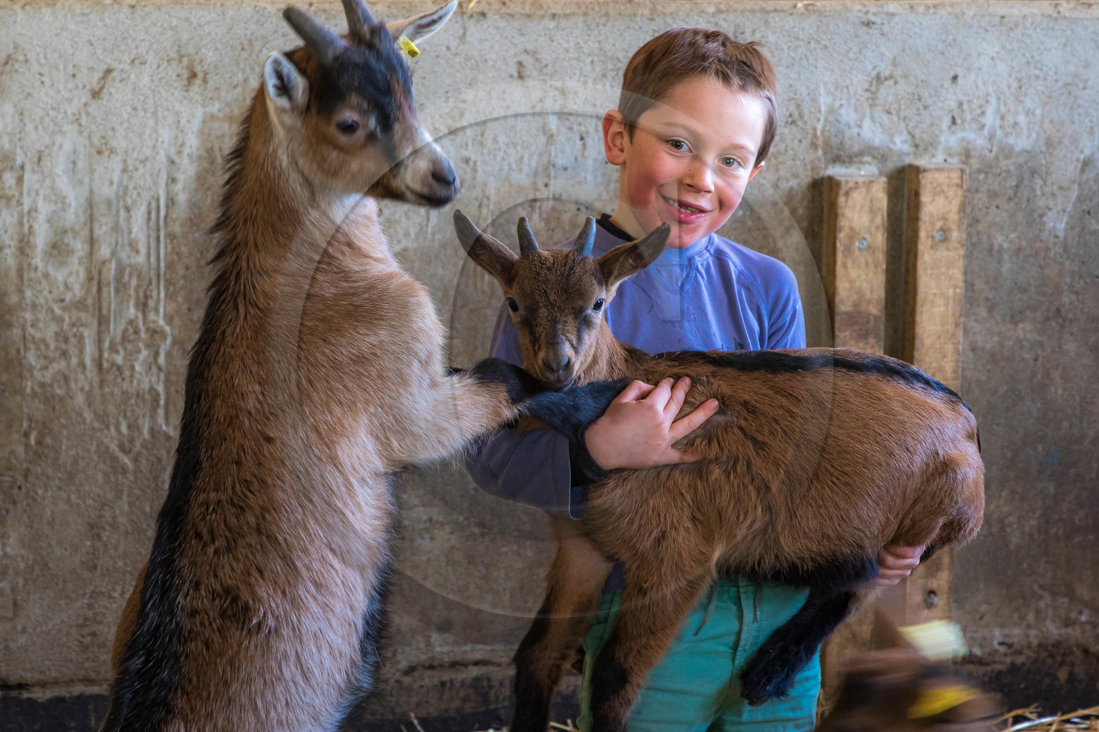 Chèvrerie de Chavières