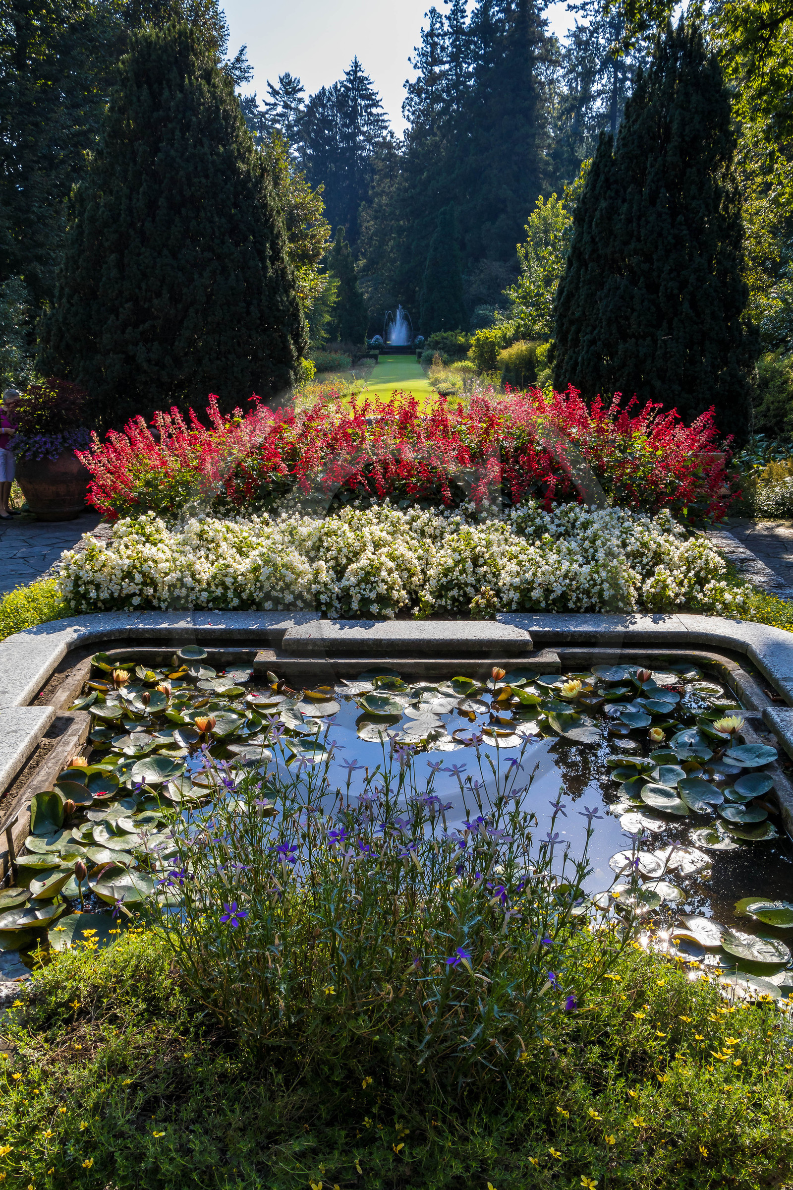Jardin botanique de la villa Taranto Jardin botanique de la villa Taranto