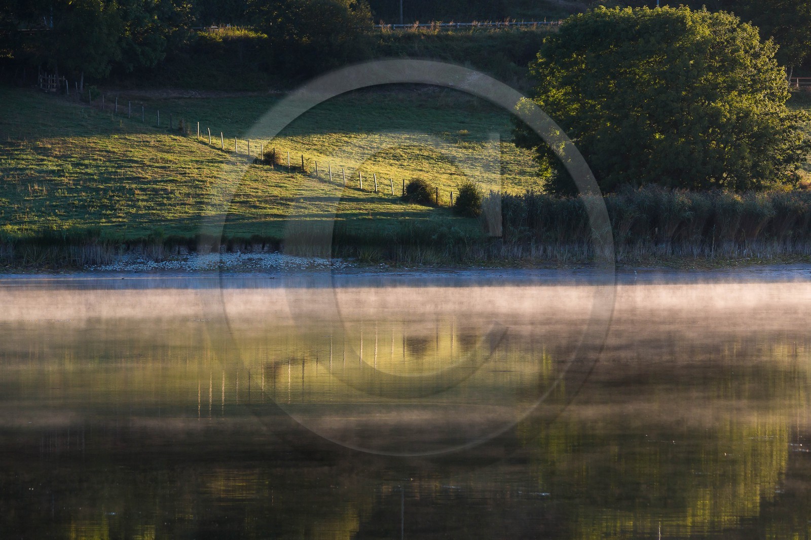 ENS de l'Isère, étang de Montjoux ENS de l'Isère, étang de Montjoux