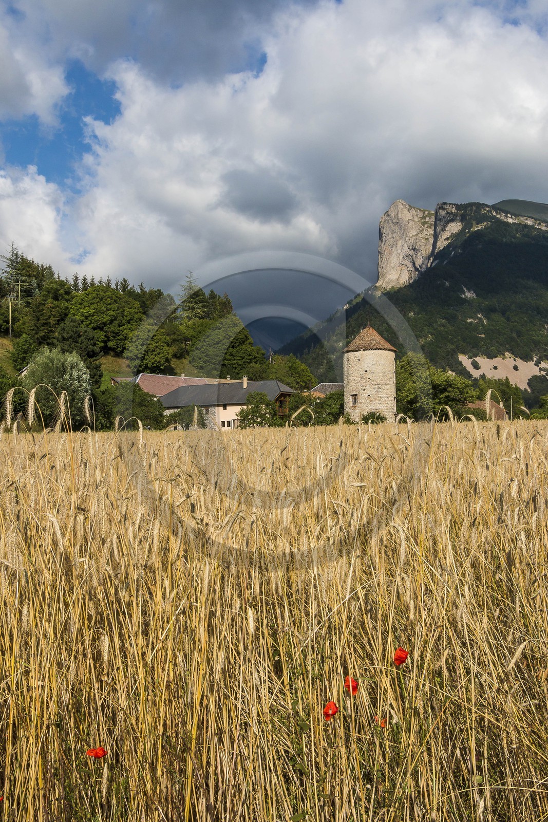 Tour des Corréardes