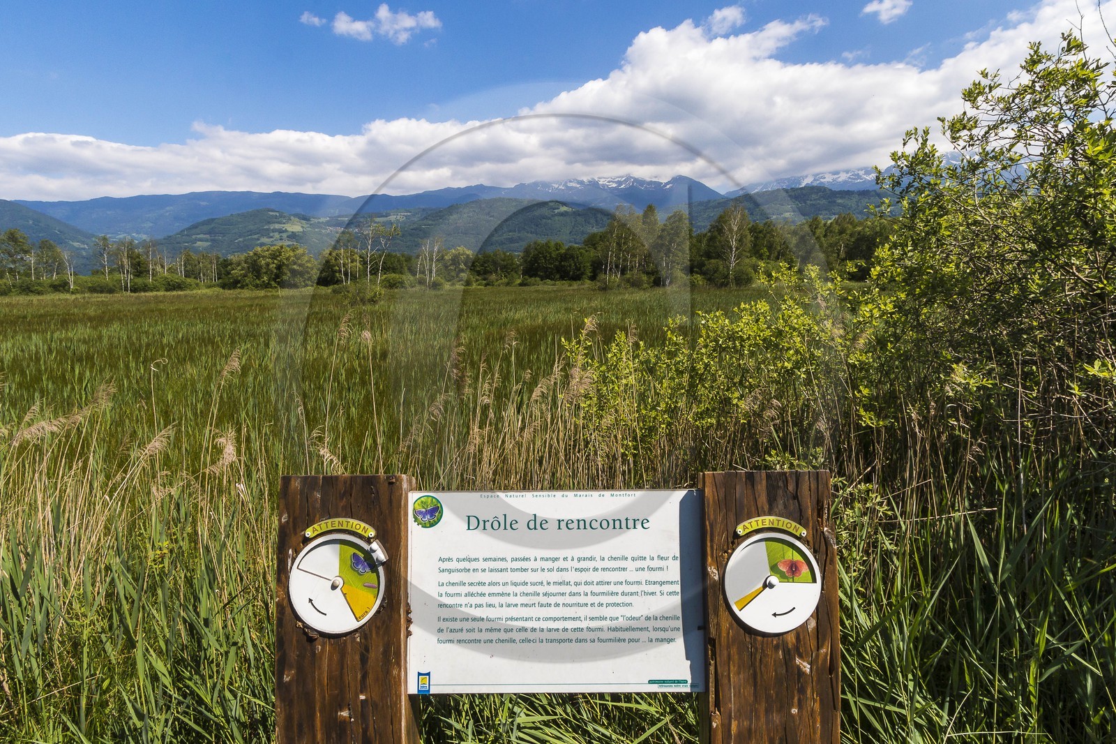 ENS de l'Isère, Marais de Montfort ENS de l'Isère, Marais de Montfort