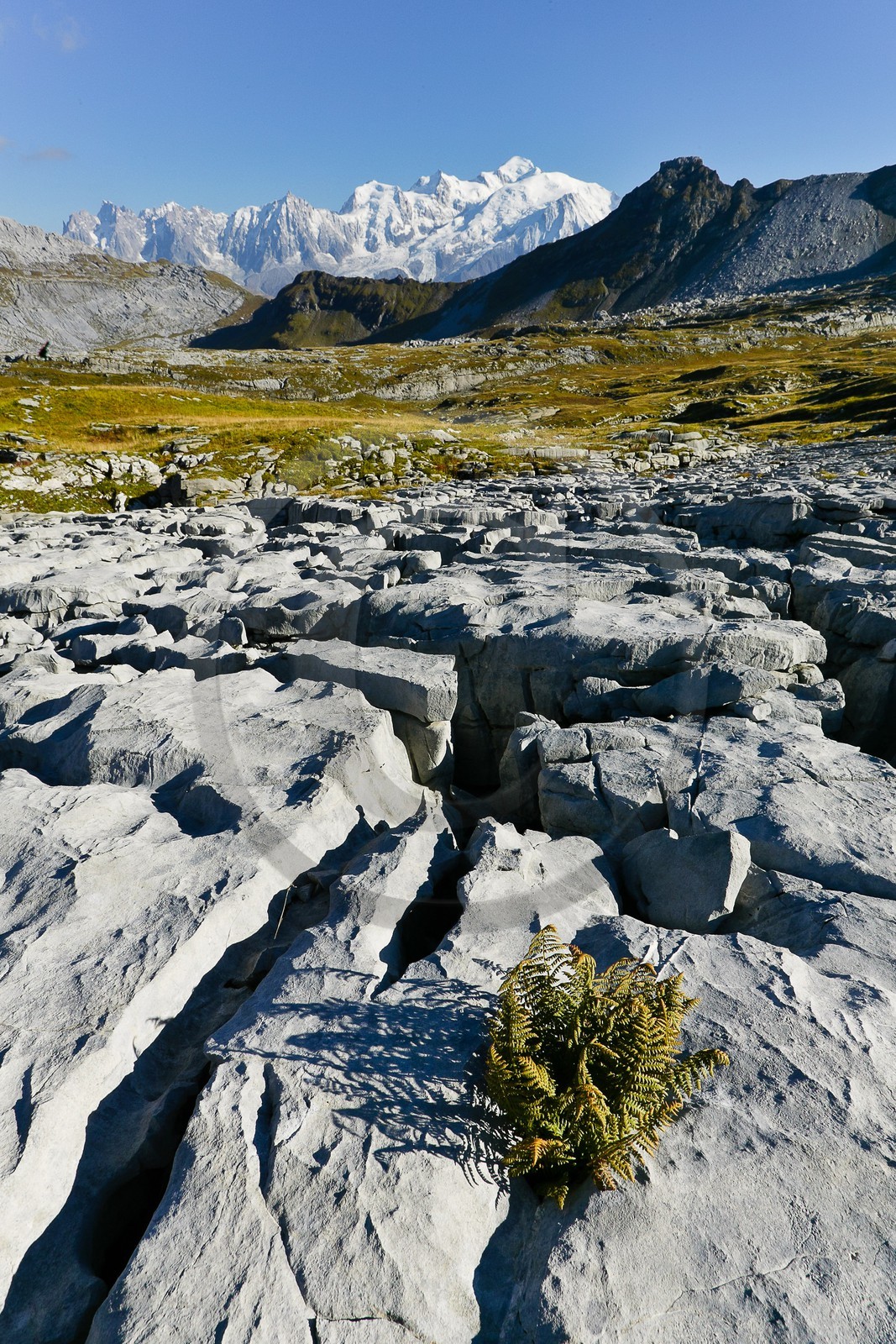 Désert de Platé, le Dérochoir et le Mont-Blanc