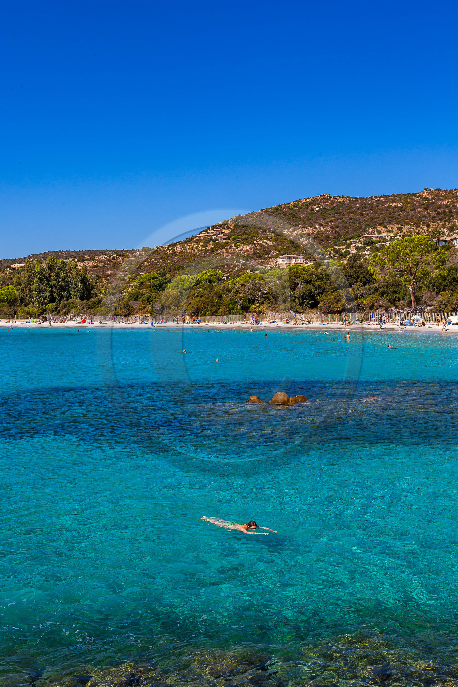 Porto-Vecchio, snorkeling à Palombaggia Porto-Vecchio, snorkeling à Palombaggia