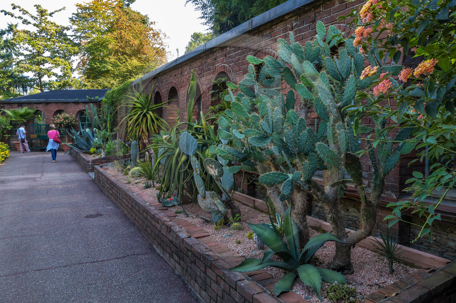 Jardin botanique de la villa Taranto