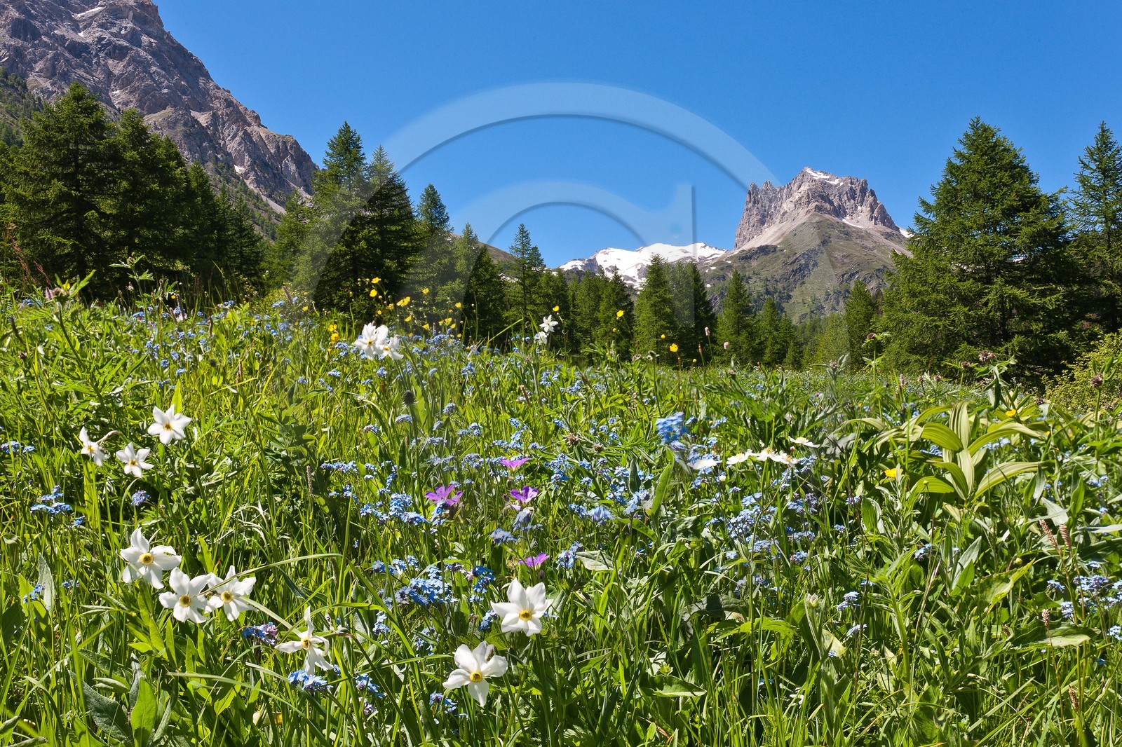 Vallée Etroite, (Valle Stretta en italien)