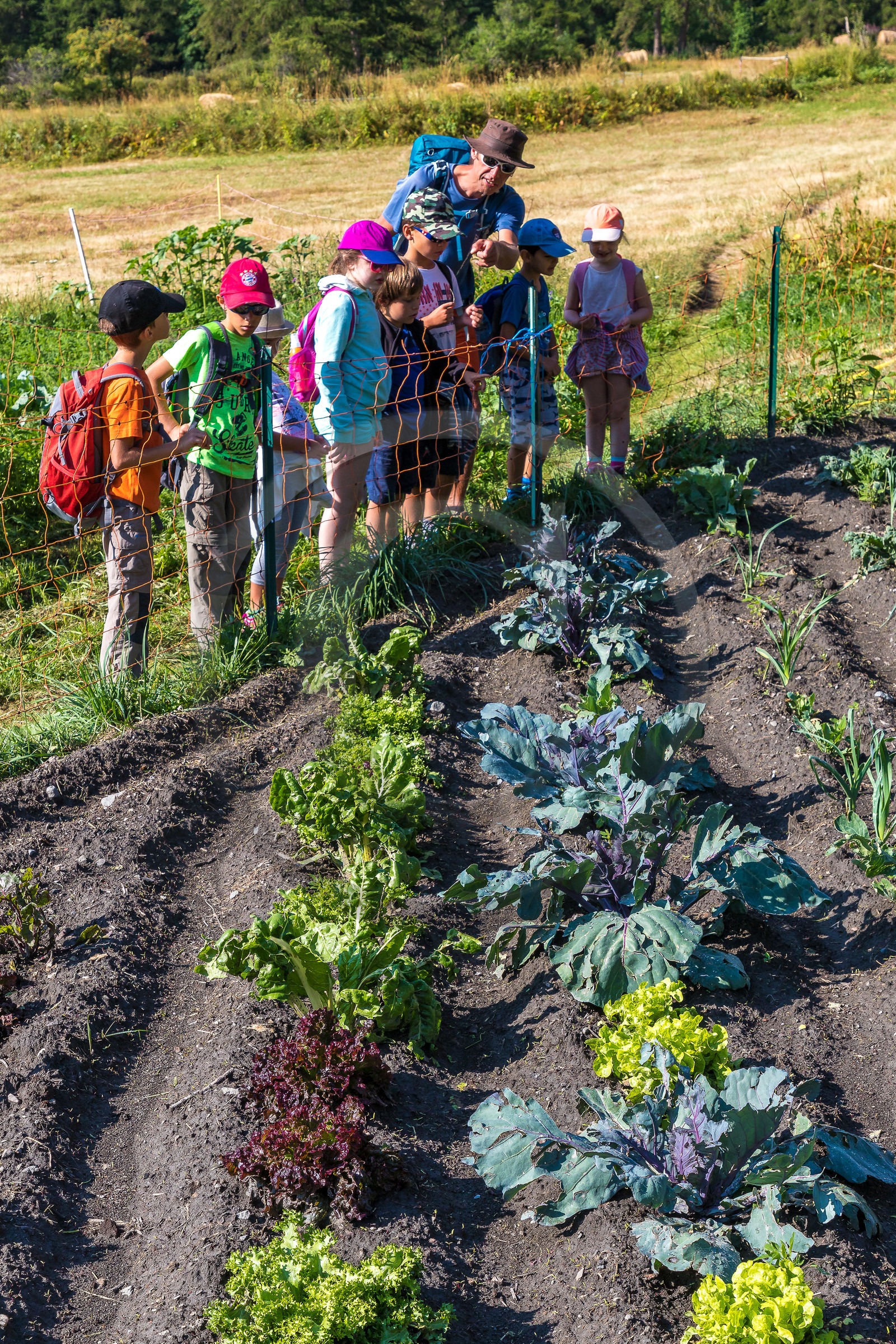 Curieux de nature, sortie découverte avec Cyril Mahout