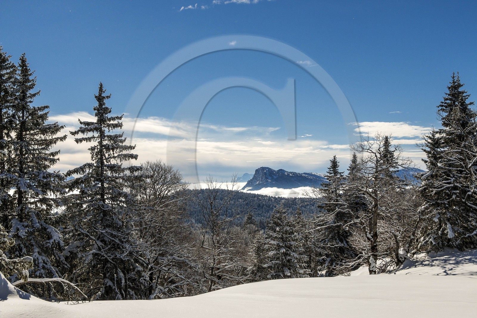 ENS de l'Isère, Plateau de la Molière et du Sornin ENS de l'Isère, Plateau de la Molière et du Sornin