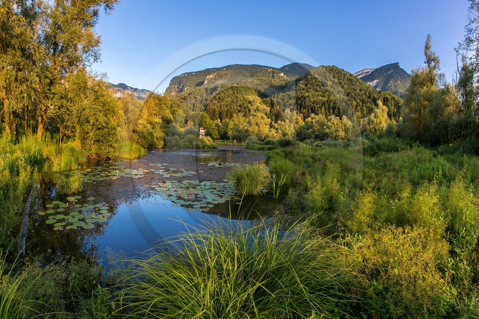 ENS de l'Isère, Tourbières de l'Herretang ENS de l'Isère, Tourbières de l'Herretang