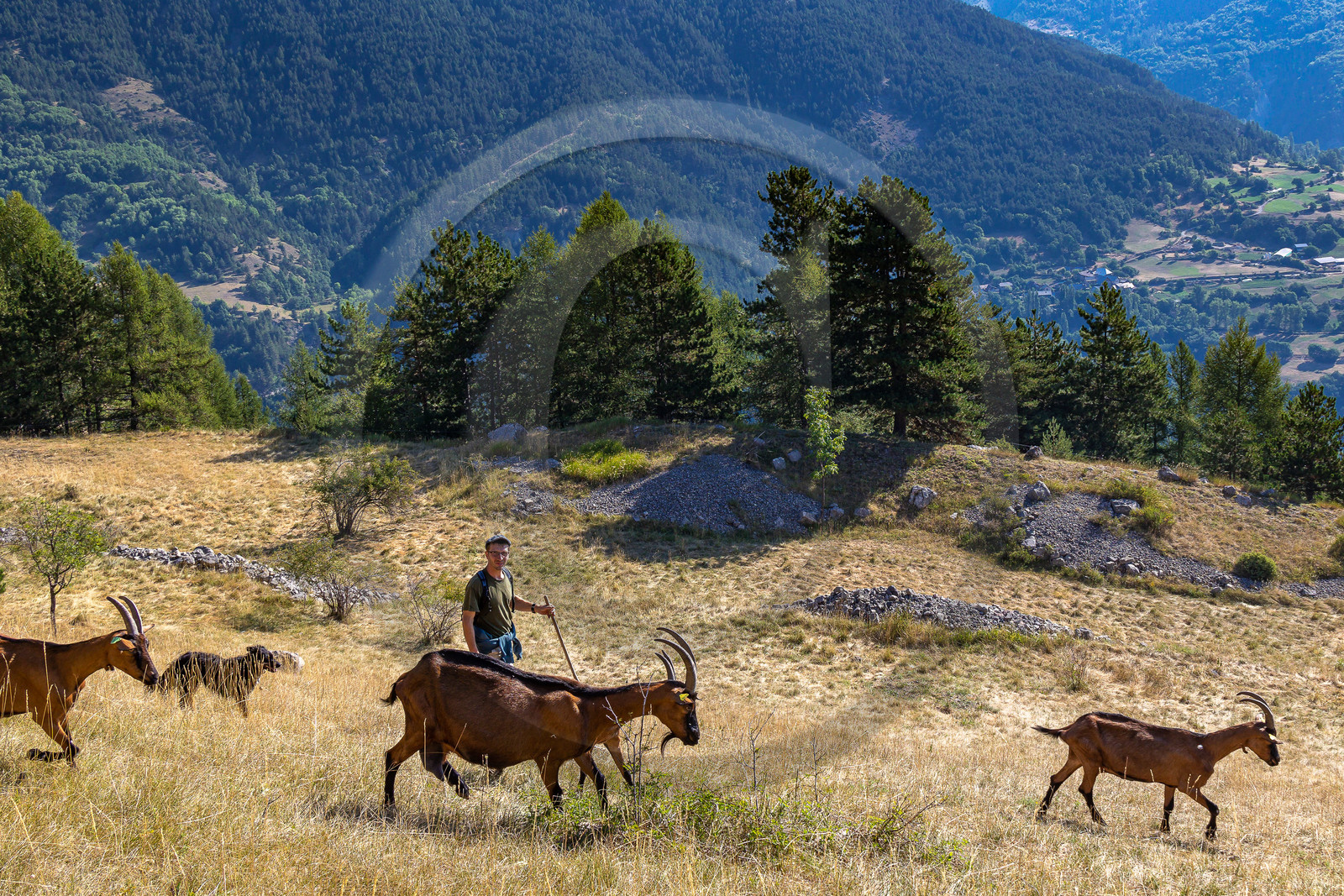 Ferme du Bayle Ferme du Bayle