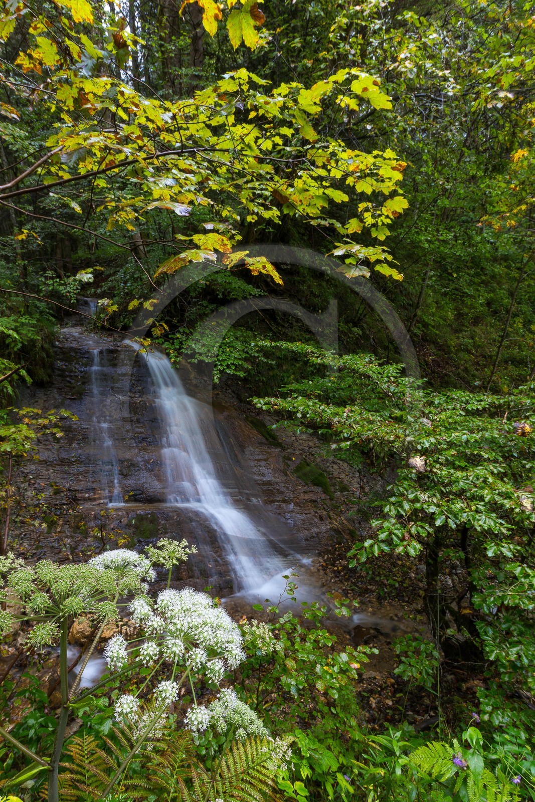 ENS de l'Isère, Les Ecouges