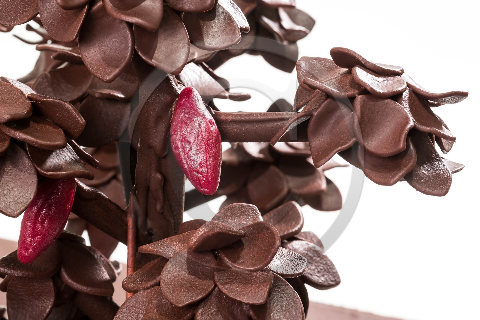 Luc Eyriey, Maître chocolatier à Embrun