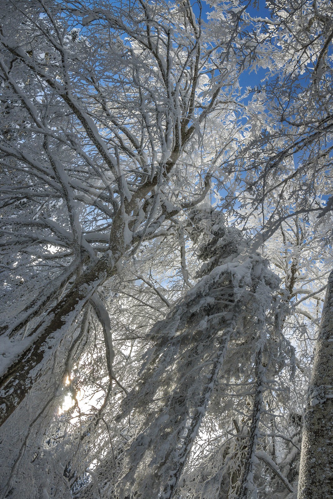 ENS de l'Isère, Les Ecouges ENS de l'Isère, Les Ecouges