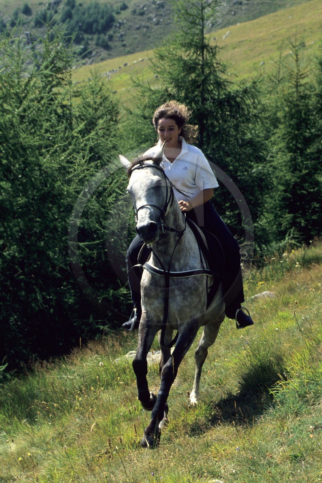 Equitation