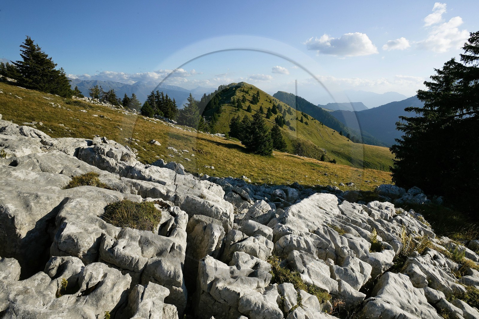Espace naturel sensible de l'Isère, Pravouta, Lapiaz