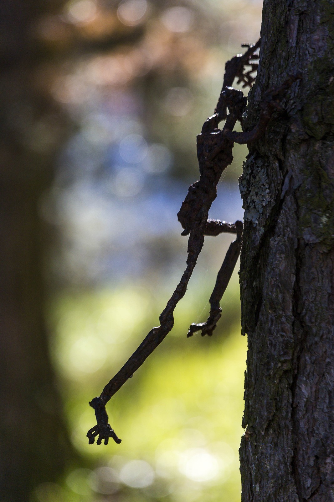 Arboretum de Roure, l'art et l'arbre, Louis Dollé, sculpteur Imagier