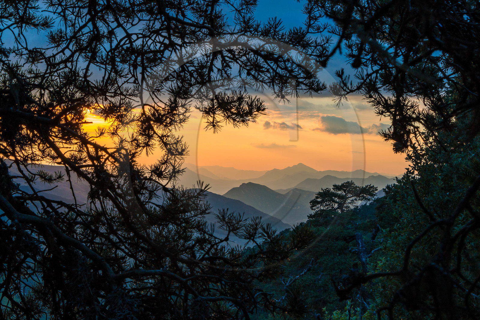Les Monges, vallon de Reynier Les Monges, vallon de Reynier