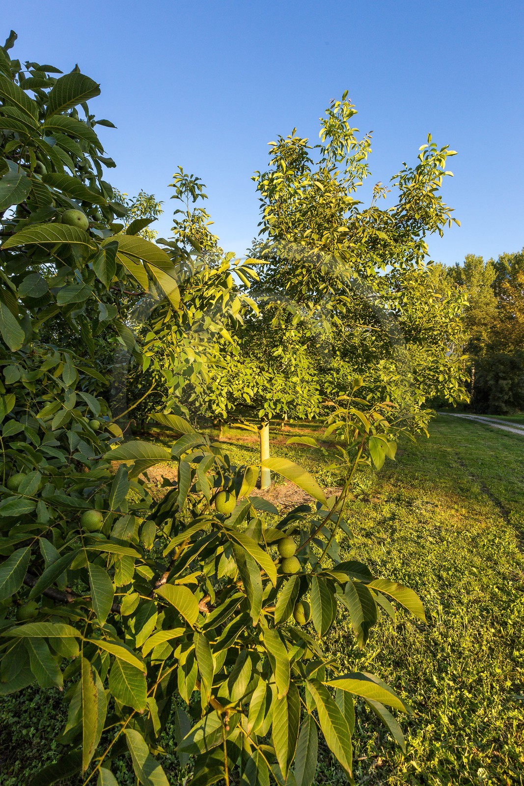 ENS de l'Isère, Boucle des Moïles ENS de l'Isère, Boucle des Moïles