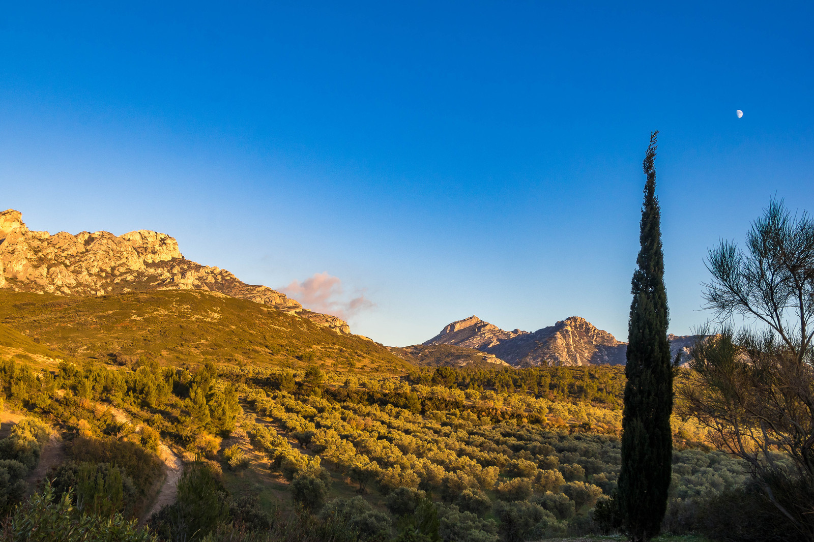 Les Baux de Provence, Domaine La Fabresse