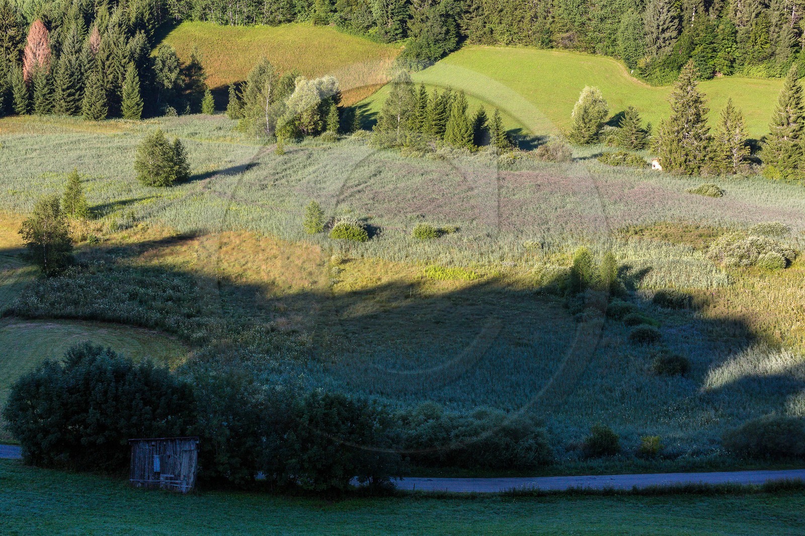 ENS de l'Isère, Marais des Sagnes ENS de l'Isère, Marais des Sagnes