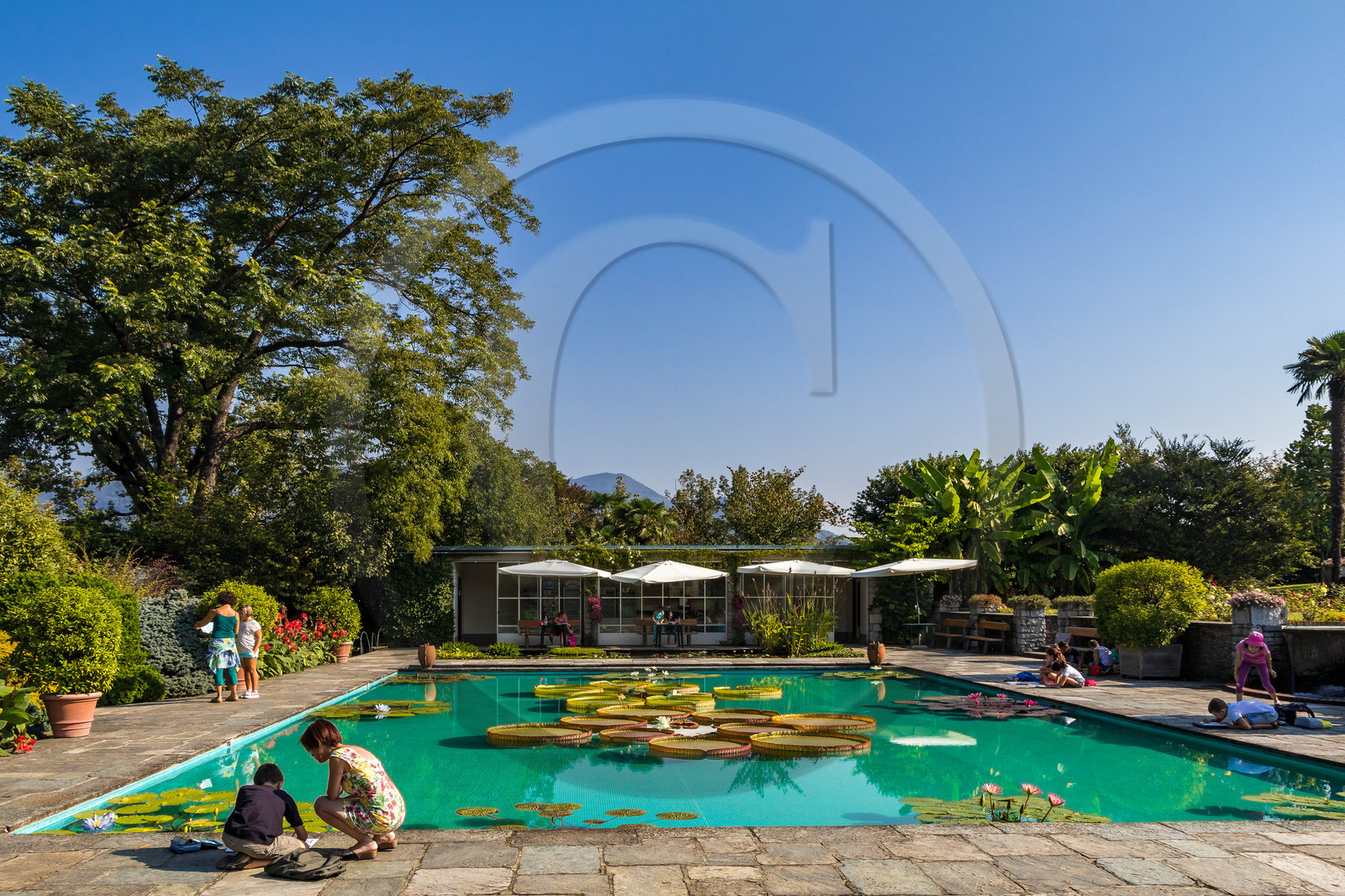 Jardin botanique de la villa Taranto Jardin botanique de la villa Taranto