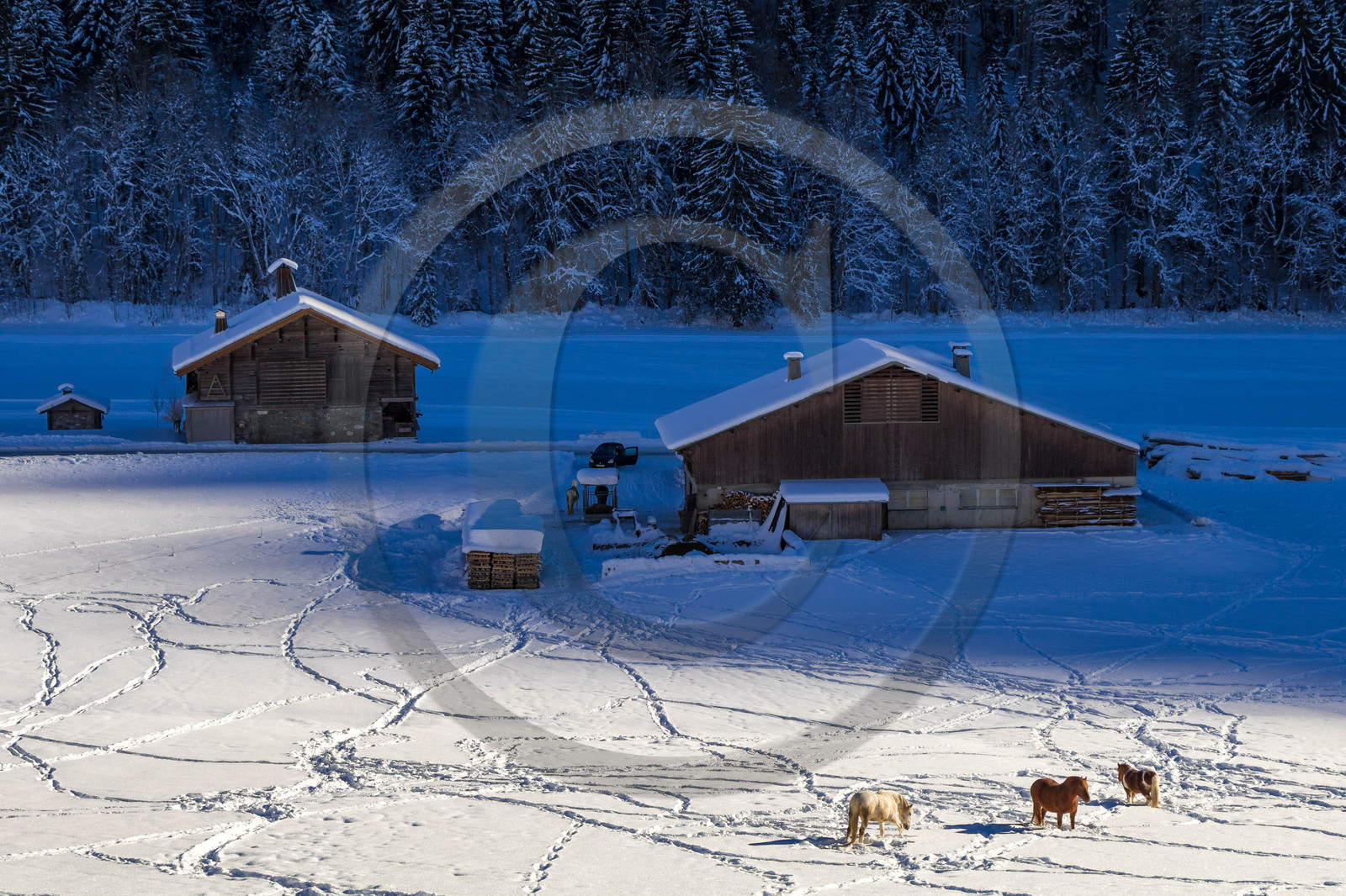 Le Grand Bornand, Les Plans