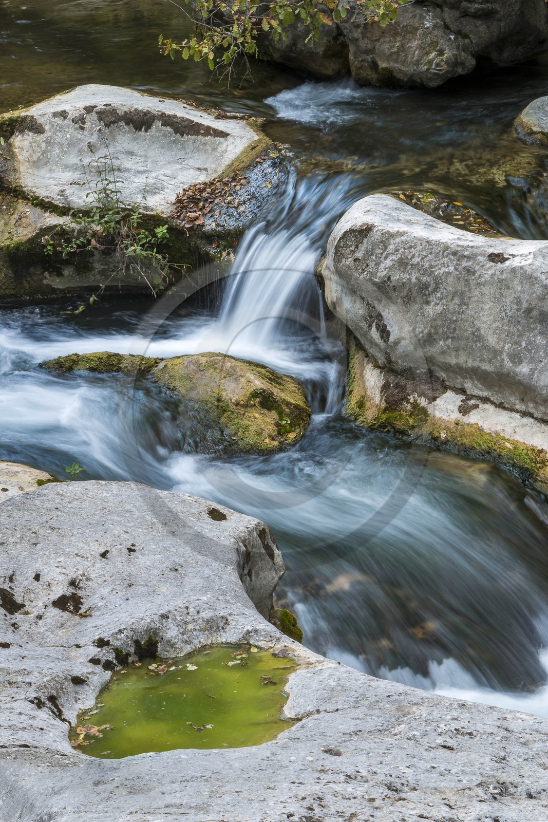 Gorges du Loup, saut du Loup