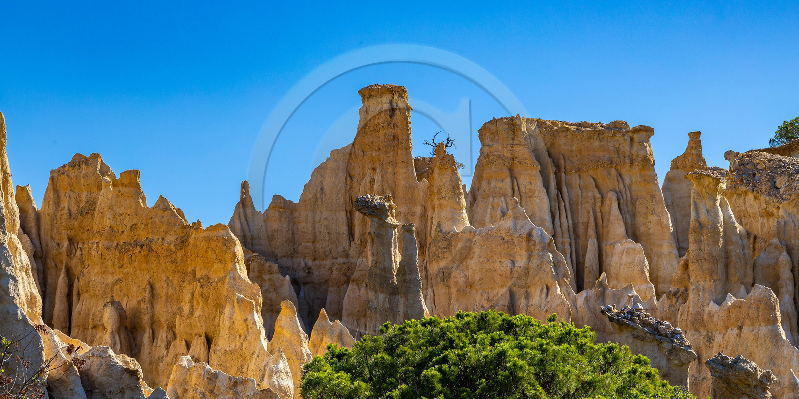 Orgues d'Ille-sur-Têt Orgues d'Ille-sur-Têt