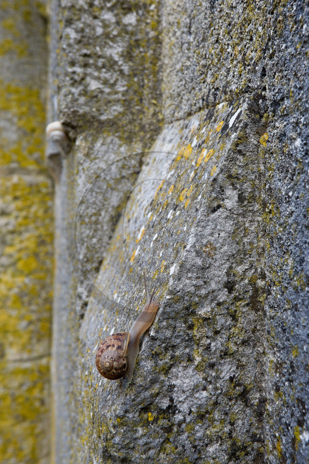 Saint-Martin-de-Ré, Fortifications Vauban inscrites au patrimoi Saint-Martin-de-Ré, Fortifications Vauban inscrites au patrimoi
