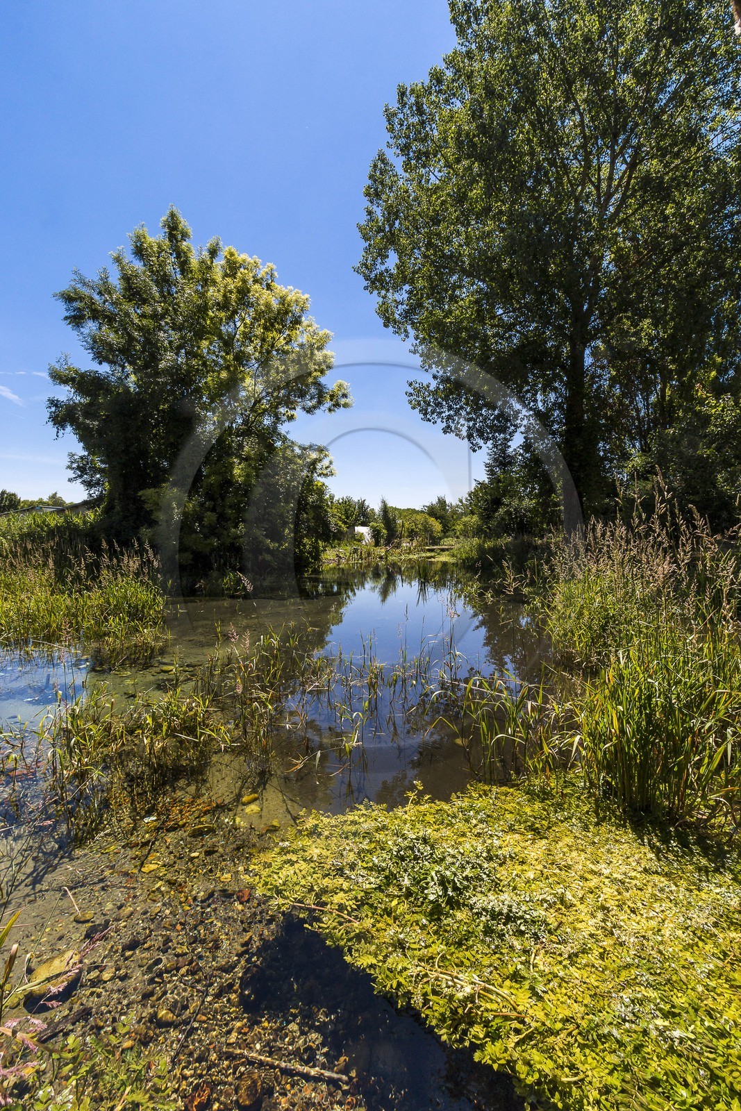 ENS de l'Isère, Les Fontaines de Beaufort