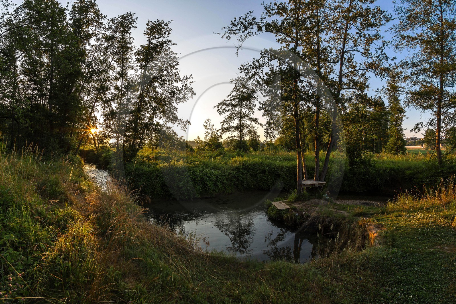 ENS de l'Isère, Prairies inondables de Pont-Évêque ENS de l'Isère, Prairies inondables de Pont-Évêque