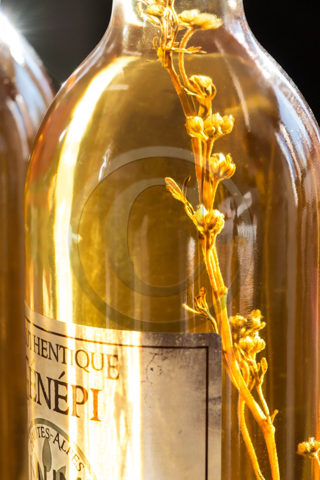 Orcières 1850, Génépi Guillaumette Orcières 1850, Génépi Guillaumette