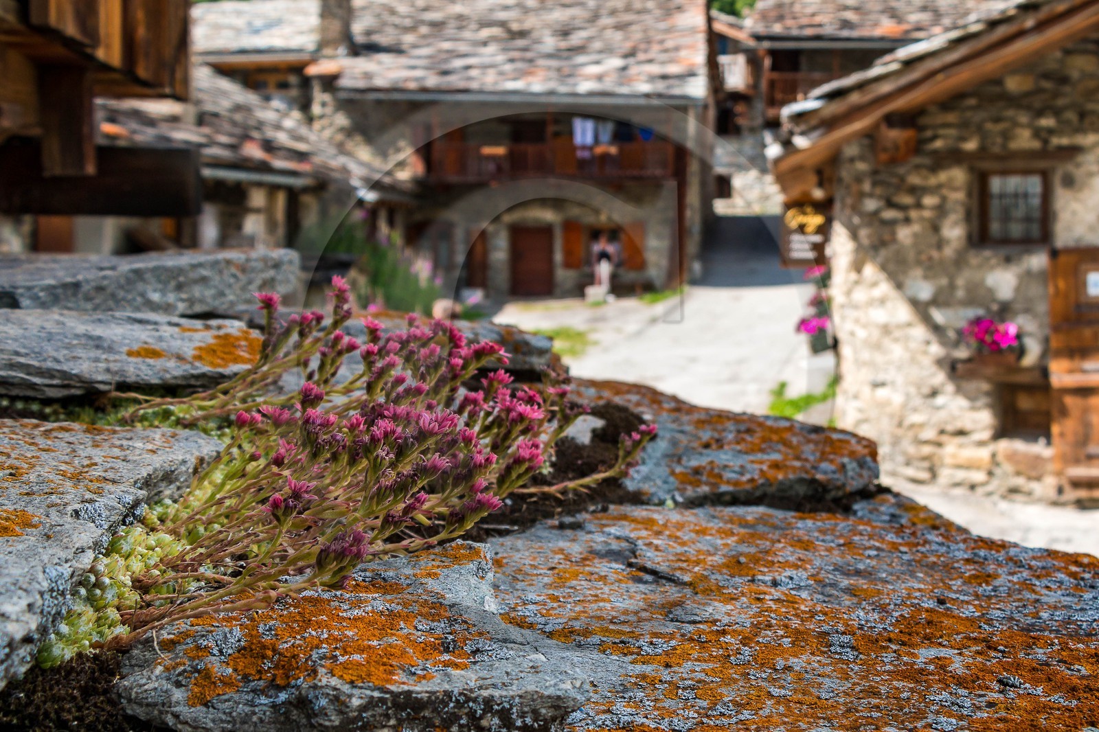 Bonneval-sur-Arc
