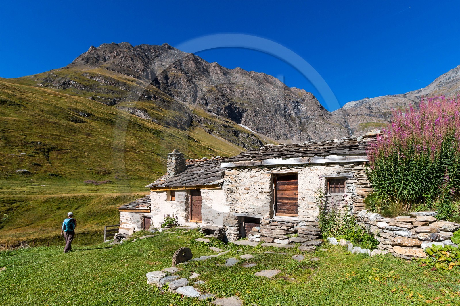 Alpage du Vallon