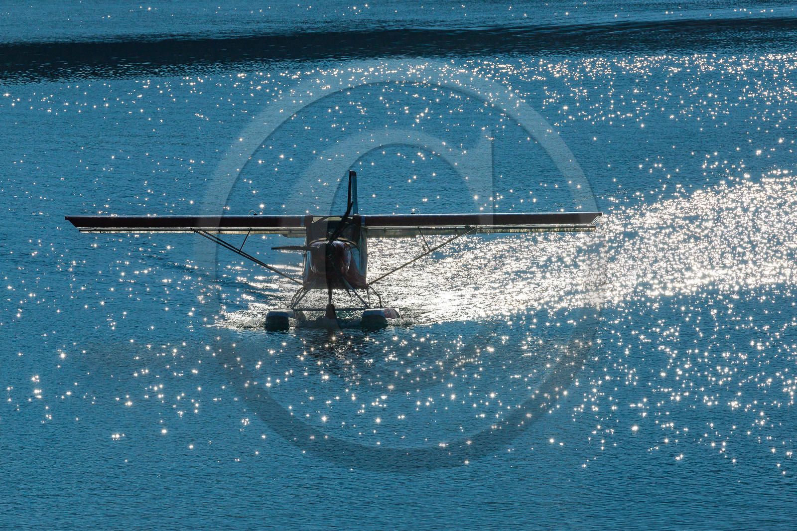 Dragonfly Aviation